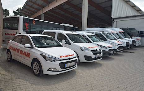 Taxen, Kleinbusse und Busse